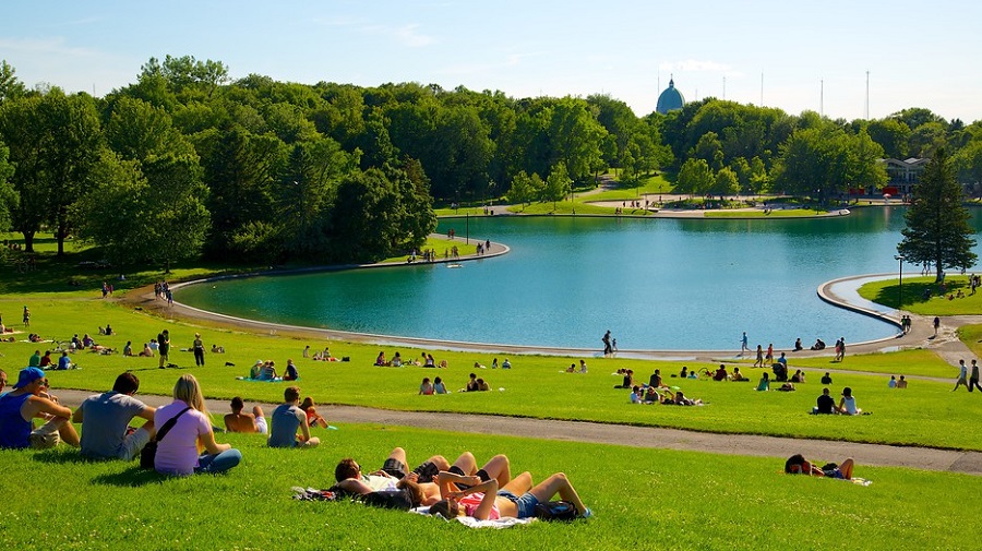 Parque-Mont-Royal-Montreal