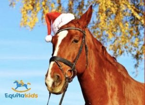 screenshot: Equitakids realiza festa do Hipismo
