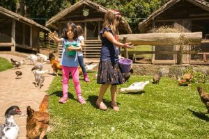 screenshot: Fazendinha Toriba oferece contato direto com animais e entrada grátis no Natal