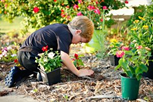screenshot: Férias no Pátio Higienópolis tem oficina de jardinagem e brincadeiras