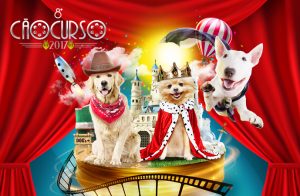 screenshot: Shopping Patio Higienópolis apresenta carnaval para cachorros com o 8º Cãocurso