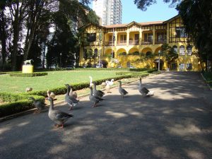 screenshot: Magia no Parque da Água Branca com brincadeiras e concurso de fantasia infantil