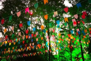 screenshot: Arraial da Cidade de São Paulo tem diversão para crianças e adultos