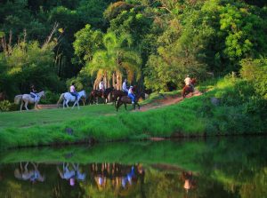 screenshot: Fazenda Capoava, em Itu, promove cavalgada entre pais e filhos
