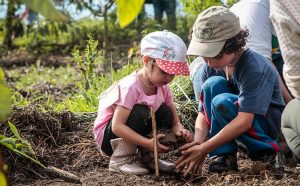 screenshot: Parque Trianon recebe crianças para plantio de árvores gratuito