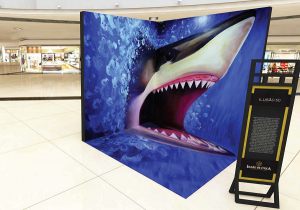screenshot: Shopping Plaza Sul recebe exposição interativa de ilusão de ótica para o Dia das Crianças