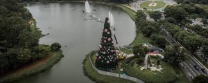 screenshot: Árvore de Natal do Ibirapuera ganha novo endereço, parque Villa-Lobos