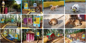 screenshot: Vila dos Coelhos é o novo sítio temático da cidade de Cotia
