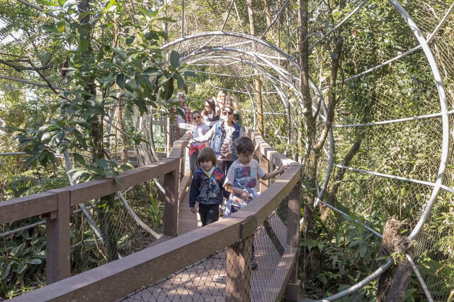 Parque Ecológico Imigrantes oferece experiência única para toda a família