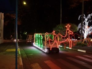 screenshot: Instituto Butantan promove a 2ª edição do Natal Iluminado