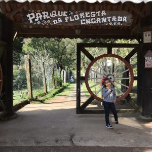 screenshot: Parque da Floresta Encantada é passeio imperdível para crianças pequenas na cidade