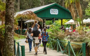 screenshot: Dona Chica Restaurante oferece experiência única para crianças em Campos do Jordão