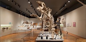 screenshot: GRATUITO! Museu de Zoologia promove Semana Darwin com jogos e oficinas infantis