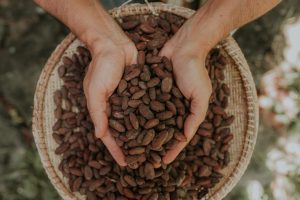 screenshot: Passeio em família: Bienal será palco da maior feira de chocolate do Brasil nos dias 12 e 14 de Abril