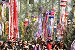 screenshot: Festival das Estrelas chega a São Paulo com muitas atividades para a família