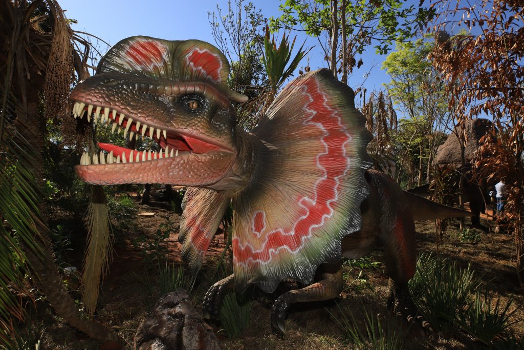 Para tudo! Parque temático Vale dos Dinossauros inaugura dia 8 de Agosto, em Olímpia, e promete muita diversão para a criançada