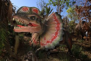 screenshot: Para tudo! Parque temático Vale dos Dinossauros inaugura dia 8 de Agosto, em Olímpia, e promete muita diversão para a criançada