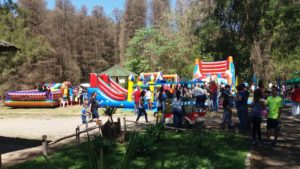 screenshot: Parque Horto Florestal recebe “Festa da Fazenda” com entrada gratuita