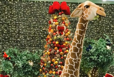screenshot: Shopping Frei Caneca apresenta: “Natal na Selva”