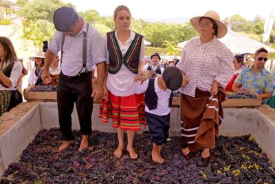 screenshot: Crianças pisam na Uva em um passeio super divertido na Quinta do Olivardo