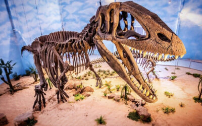 screenshot: Passeio ao vivo pelo Zooparque Itatiba mostrará dinossauros, filhotes e o paraíso das aves