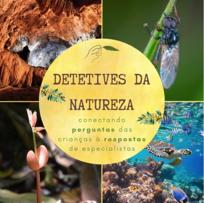 screenshot: Ser Criança é Natural lança série de lives com curiosidades da natureza