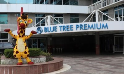 screenshot: Blue Tree Hotels e Giramille anunciam parceria com atividades lúdicas para os pequenos hóspedes