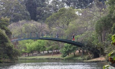 screenshot: Mostra 3M de Arte realiza sua décima edição com dez instalações inéditas no Parque Ibirapuera
