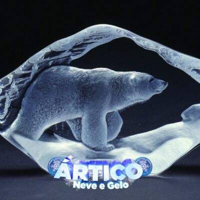screenshot: Ingressos gratuitos! Uma aventura de neve e esculturas em gelo com o Ártico Neve e Gelo
