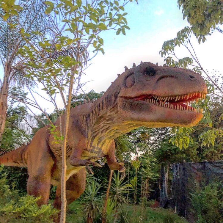 Vale dos Dinossauros Olímpia tem diversão garantida para as crianças
