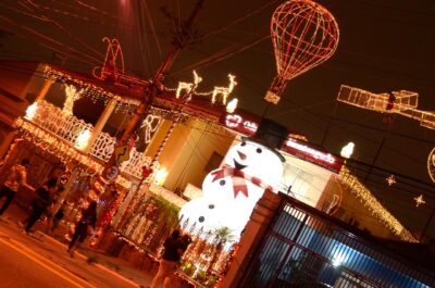 screenshot: Passeio gratuito! Casa do Papai Noel em São Paulo encanta famílias com decoração iluminada