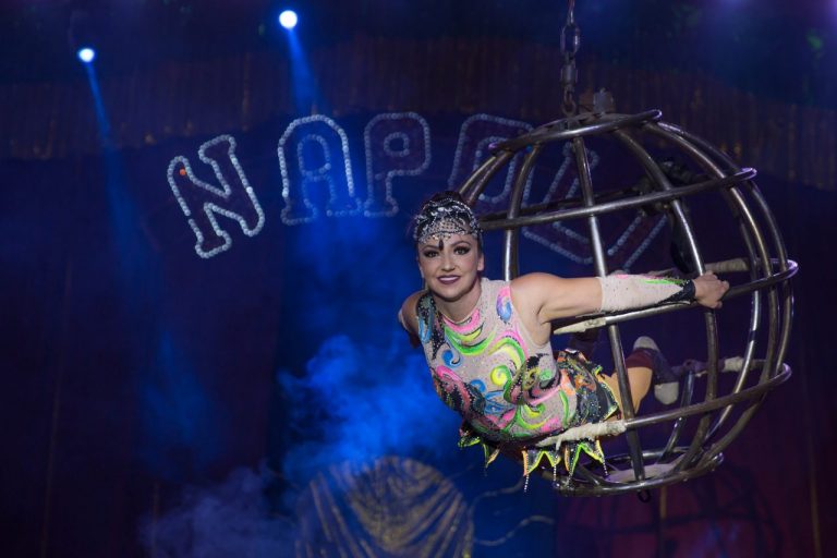 Imperdível! Circo Di Napoli está de volta a São Paulo com desconto