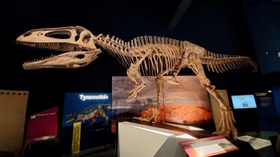 screenshot: PROLONGADO: mega exposição Dinossauros Patagotitan chega ao Brasil, no Parque Ibirapuera