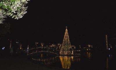 screenshot: Natal da Vinícola Góes, em São Roque: Papai Noel, árvores, cantata e muitas luzes