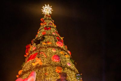 screenshot: Árvore de Natal do Parque Villa-Lobos tem passeio de trenzinho gratuito