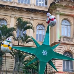 Programação do Festival de Natal de São Paulo