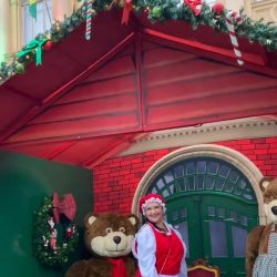 Programação do Festival de Natal de São Paulo