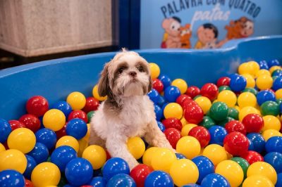screenshot: Inédito e gratuito! Bourbon Shopping São Paulo recebe evento Turma da Mônica Pets