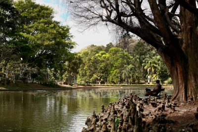 screenshot: Aniversário do Horto Florestal, na zona norte, tem primeiro Bloquinho de Carnaval para crianças e Uma Noite no Museu com cinema infantil