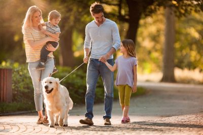 screenshot: Guia de passeios na Zona Sul: Confira todos os passeios para fazer em família