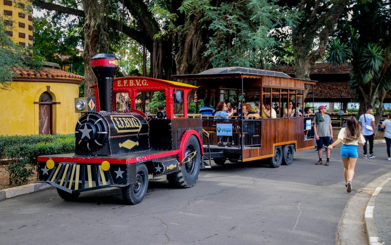 Passeio de Trenzinho chega ao Parque da Água Branca com desconto