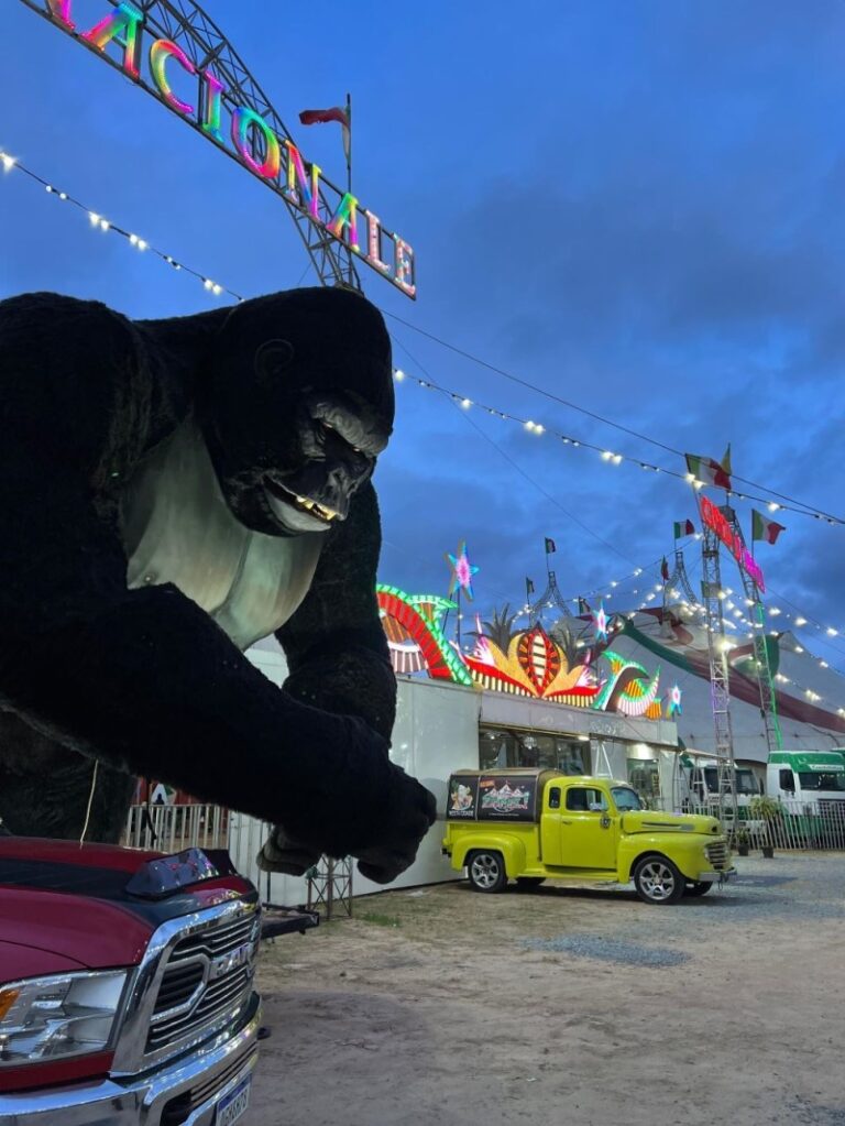 Circo di Napoli em Santo Amaro