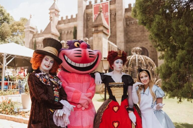 Mundo Mágico no Castelo dos Vinhais com Mickey, Minnie e Princesas