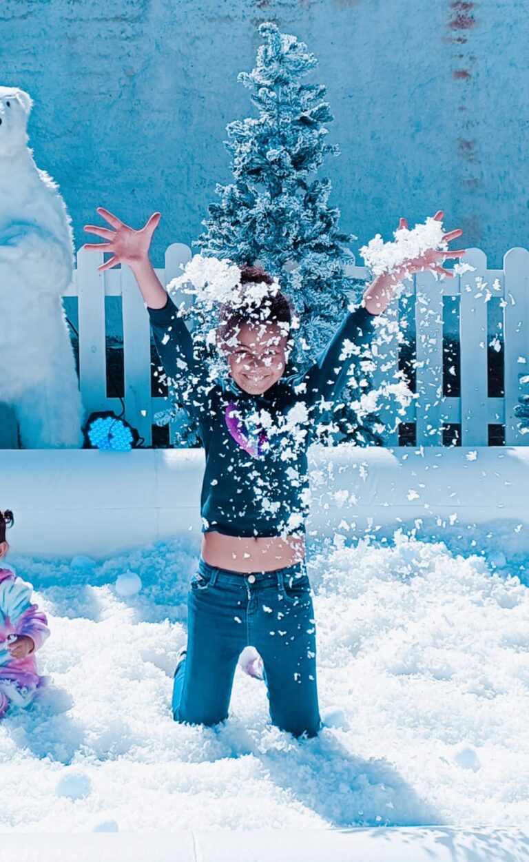 Vai nevar em SP! Snow Fun chega em agosto com diversas atividades para toda a família