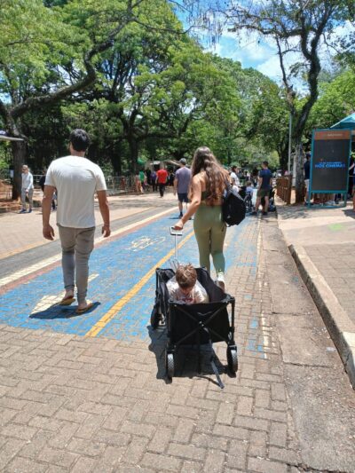 screenshot: Casa do Viajante aluga carrinhos e itens de locomoção para passeios no Parque Ibirapuera