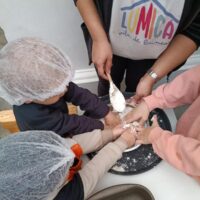 férias-vila-lumica-passeios-kids