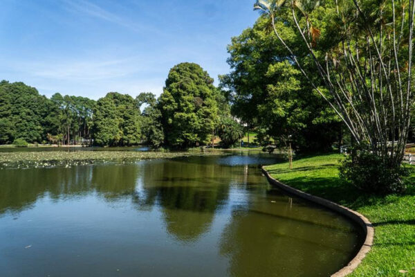 screenshot: Parques Horto Florestal e Cantareira oferecem programação gratuita nas férias de julho com atividades imersivas na natureza
