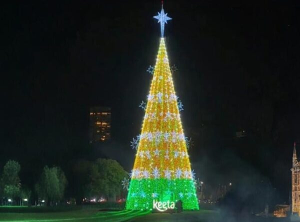 screenshot: GRATUITO! Natal no Parque Ibirapuera tem maior árvore de São Paulo e muitas atrações gratuitas