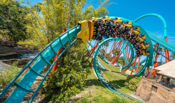screenshot: Bush Gardens: o parque de diversões que vau muito além das montanhas-russas