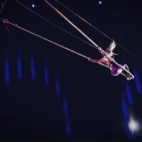 palacios circo
